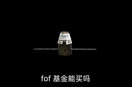 根據(jù)基金投資的標的資產(chǎn)的不同,當(dāng)基金投資標的為時,對其資產(chǎn)進行
