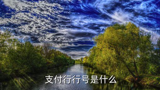  支付行行號(hào)是什么