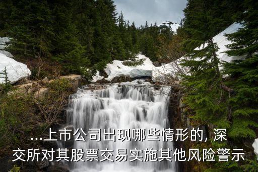 ...上市公司出現(xiàn)哪些情形的, 深交所對其股票交易實(shí)施其他風(fēng)險(xiǎn)警示