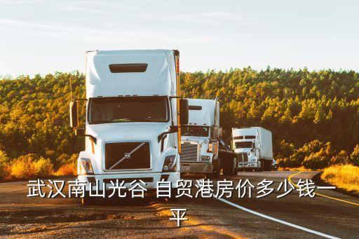  武漢南山光谷 自貿(mào)港房?jī)r(jià)多少錢一平