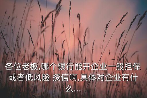 各位老板,哪個(gè)銀行能開企業(yè)一般擔(dān)保或者低風(fēng)險(xiǎn) 授信啊,具體對(duì)企業(yè)有什么...