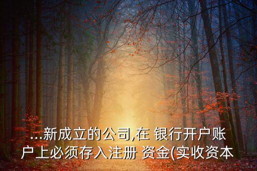 ...新成立的公司,在 銀行開戶賬戶上必須存入注冊 資金(實收資本