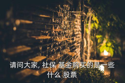 社保107基金持有的股票,2022年社?；鹬貍}股票
