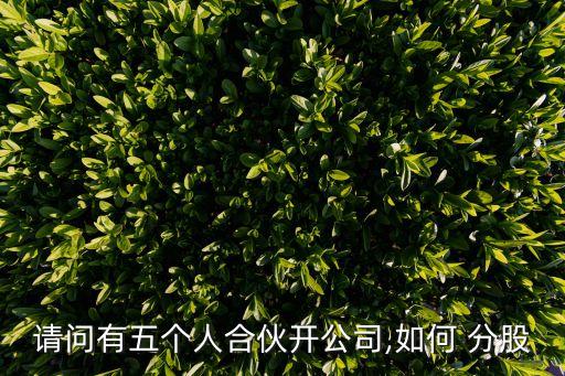 請(qǐng)問(wèn)有五個(gè)人合伙開公司,如何 分股