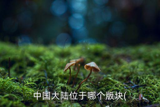 中國(guó)有什么板塊,中國(guó)什么板塊今天買(mǎi)今天賣(mài)