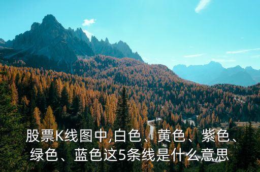  股票K線圖中,白色、黃色、紫色、綠色、藍色這5條線是什么意思