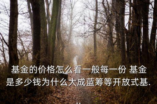  基金的價(jià)格怎么看一般每一份 基金是多少錢為什么大成藍(lán)籌等開(kāi)放式基...