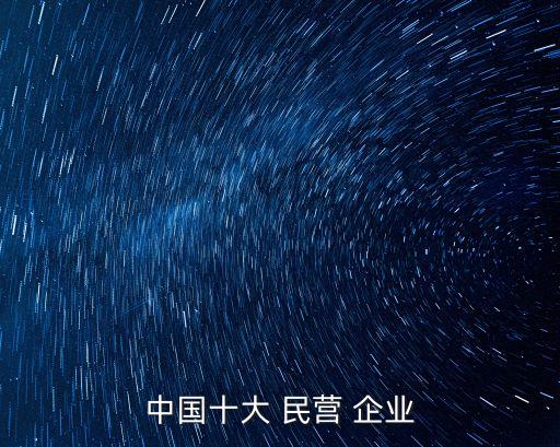 中國(guó)十大 民營(yíng) 企業(yè)