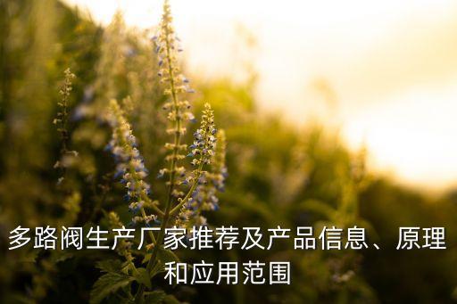 多路閥生產(chǎn)廠家推薦及產(chǎn)品信息、原理和應(yīng)用范圍