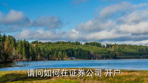 請(qǐng)問如何在證券公司 開戶