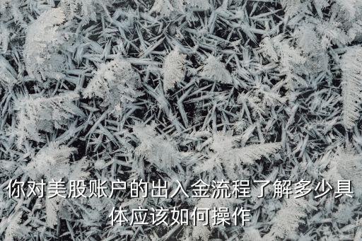 你對(duì)美股賬戶(hù)的出入金流程了解多少具體應(yīng)該如何操作