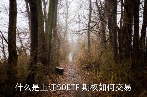 股票期權(quán)出臺,公司股票期權(quán)激勵機(jī)制