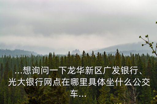 ...想詢問一下龍華新區(qū)廣發(fā)銀行、 光大銀行網(wǎng)點在哪里具體坐什么公交車...