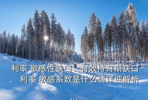 利率 敏感性缺口、有效持有期缺口、 利率 敏感系數(shù)是什么請詳細(xì)解析...