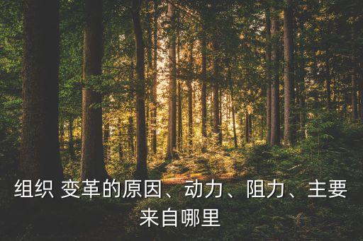 組織 變革的原因、動(dòng)力、阻力、主要來自哪里