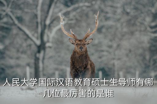 人民大學國際漢語教育碩士生導(dǎo)師有哪幾位最厲害的是誰
