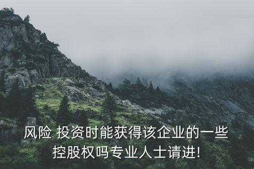 風險投資控股,中國風險投資有限公司