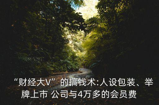 “財經(jīng)大V”的搞錢術(shù):人設(shè)包裝、舉牌上市 公司與4萬多的會員費