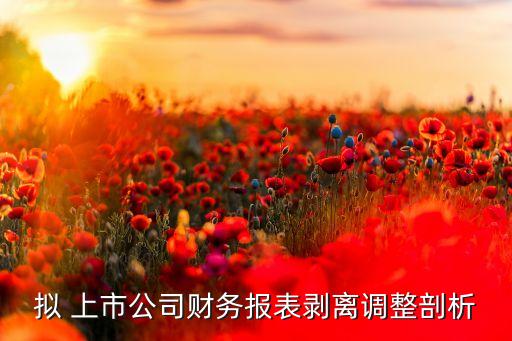 擬 上市公司財務(wù)報表剝離調(diào)整剖析