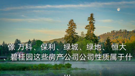 像 萬(wàn)科、保利、綠城、綠地、 恒大、碧桂園這些房產(chǎn)公司公司性質(zhì)屬于什...