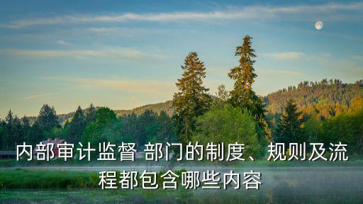 內(nèi)部審計監(jiān)督 部門的制度、規(guī)則及流程都包含哪些內(nèi)容