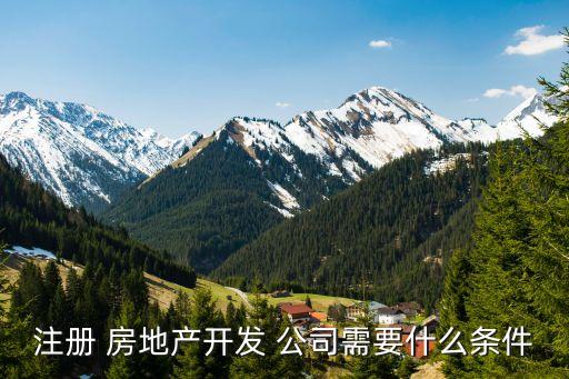 注冊 房地產開發(fā) 公司需要什么條件