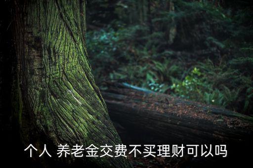 個(gè)人 養(yǎng)老金交費(fèi)不買(mǎi)理財(cái)可以嗎