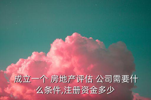  成立一個 房地產評估 公司需要什么條件,注冊資金多少