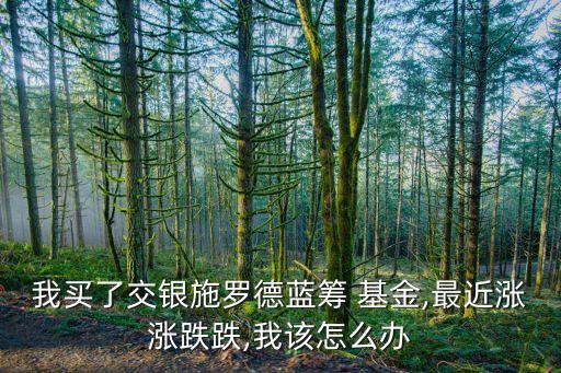 我買了交銀施羅德藍(lán)籌 基金,最近漲漲跌跌,我該怎么辦