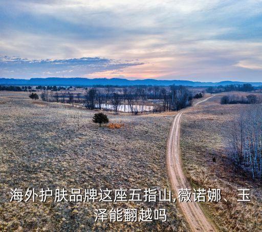 海外護(hù)膚品牌這座五指山,薇諾娜、玉澤能翻越嗎