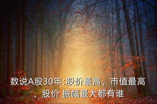 數(shù)說A股30年:股價最高、市值最高、股價 振幅最大都有誰