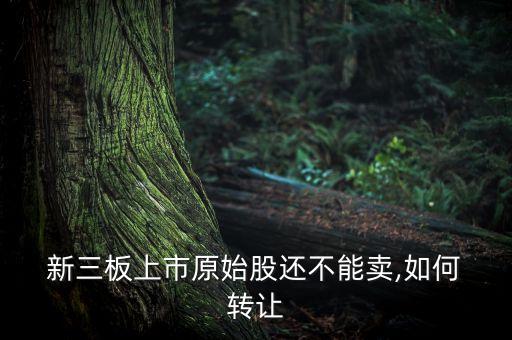  新三板上市原始股還不能賣(mài),如何 轉(zhuǎn)讓
