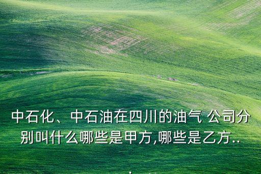 中石化、中石油在四川的油氣 公司分別叫什么哪些是甲方,哪些是乙方...