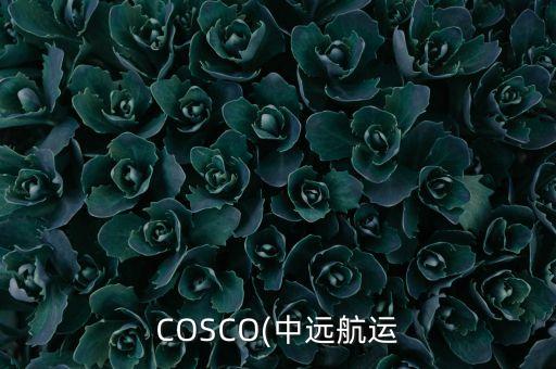 COSCO(中遠(yuǎn)航運