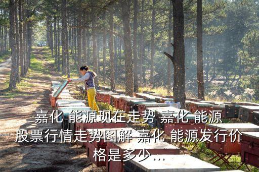  嘉化 能源現在走勢 嘉化 能源 股票行情走勢圖解 嘉化 能源發(fā)行價格是多少...