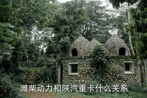  濰柴動(dòng)力和陜汽重卡什么關(guān)系