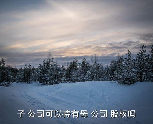 子 公司可以持有母 公司 股權嗎