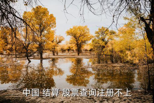 中國(guó) 結(jié)算 股票查詢注冊(cè)不上