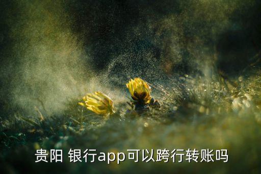 貴陽(yáng)銀行電子現(xiàn)金,銀行電子現(xiàn)金里面的錢(qián)怎么取出來(lái)