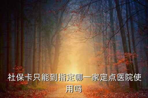 北京社保卡使用那19家