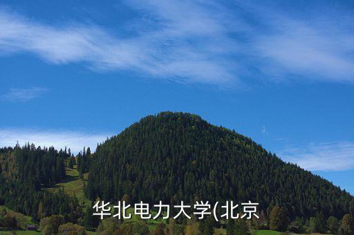 大唐小貸投資,中國大唐投資軟件是真的嗎