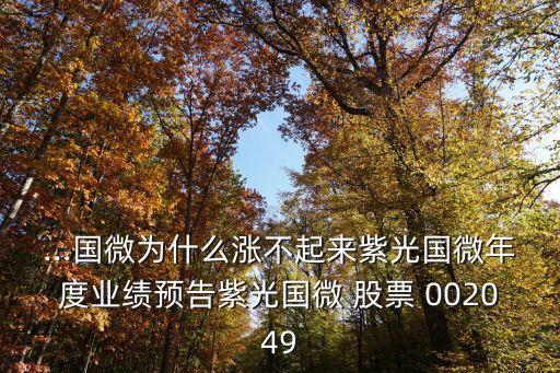 ...國微為什么漲不起來紫光國微年度業(yè)績(jī)預(yù)告紫光國微 股票 002049