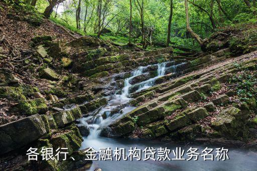 各銀行、金融機(jī)構(gòu)貸款業(yè)務(wù)名稱