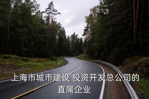  上海市城市建設 投資開發(fā)總公司的直屬企業(yè)