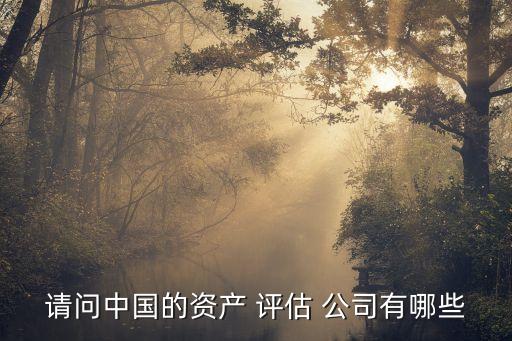 請問中國的資產 評估 公司有哪些