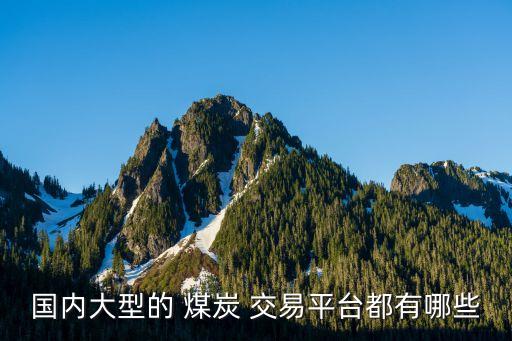 國內大型的 煤炭 交易平臺都有哪些
