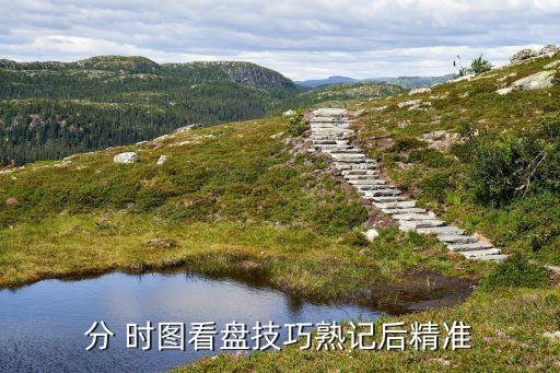 分 時圖看盤技巧熟記后精準