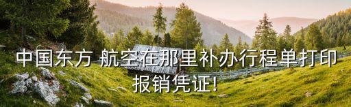 中國(guó)東方 航空在那里補(bǔ)辦行程單打印報(bào)銷(xiāo)憑證!