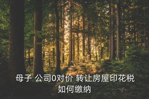  母子 公司0對價 轉讓房屋印花稅如何繳納