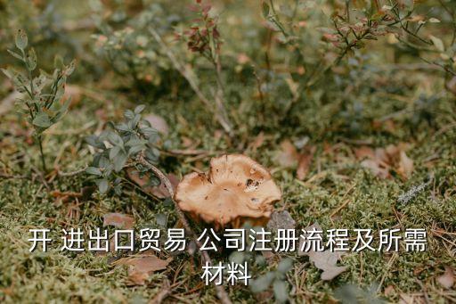 開(kāi) 進(jìn)出口貿(mào)易 公司注冊(cè)流程及所需材料